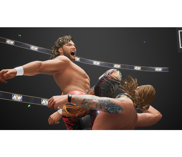 PC AEW: Fight Forever - 1065272 - zdjęcie 4